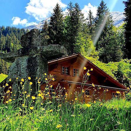 Alpenlodge Willigen エクステリア 写真