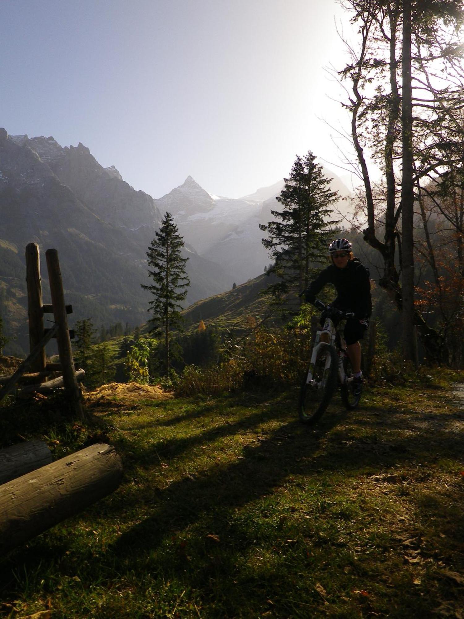 Alpenlodge Willigen エクステリア 写真