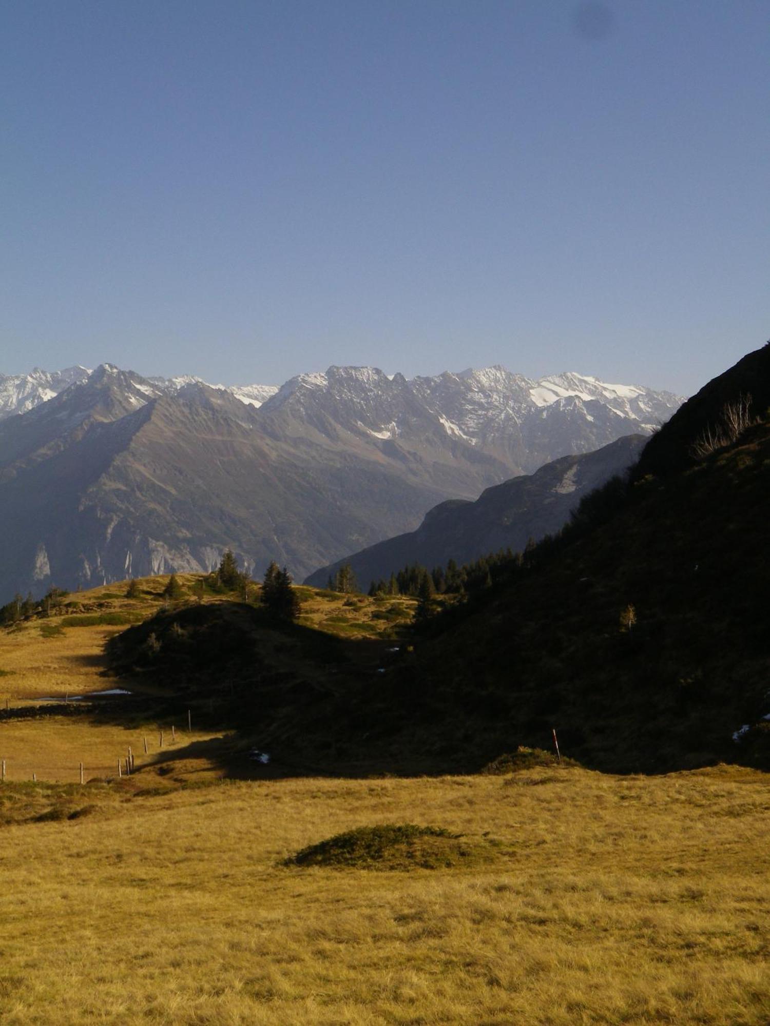 Alpenlodge Willigen エクステリア 写真