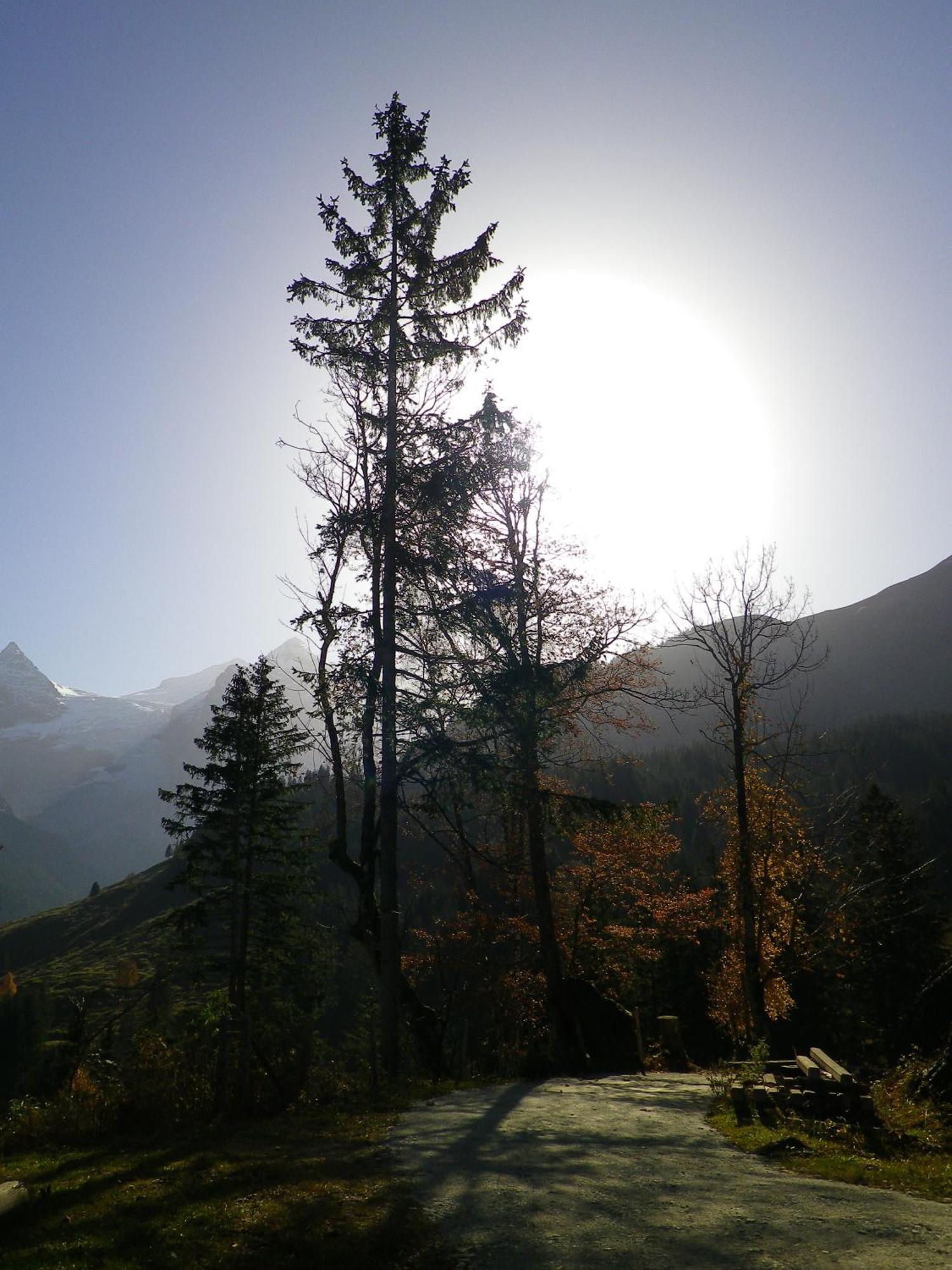 Alpenlodge Willigen エクステリア 写真