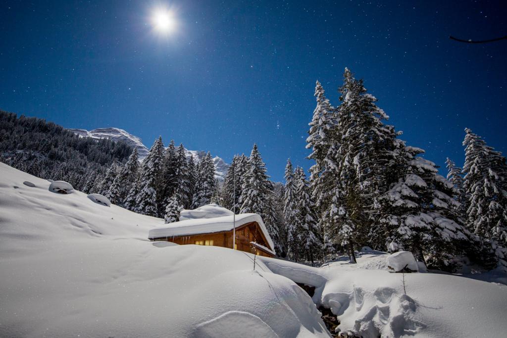 Alpenlodge Willigen エクステリア 写真
