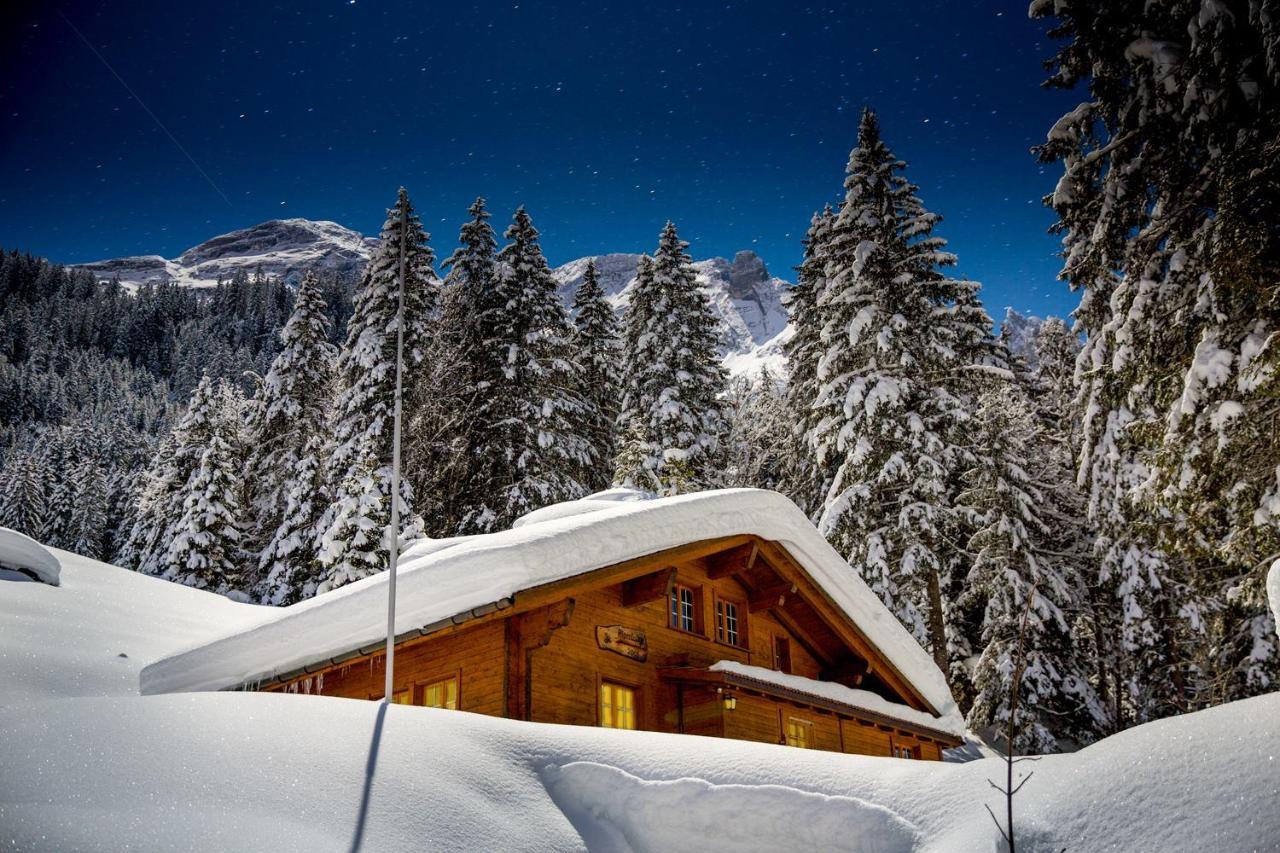 Alpenlodge Willigen エクステリア 写真