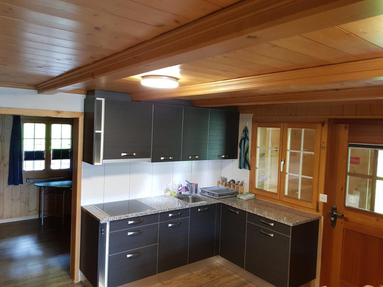 Alpenlodge Willigen エクステリア 写真