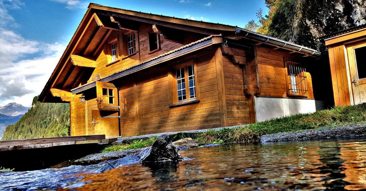 Alpenlodge Willigen エクステリア 写真