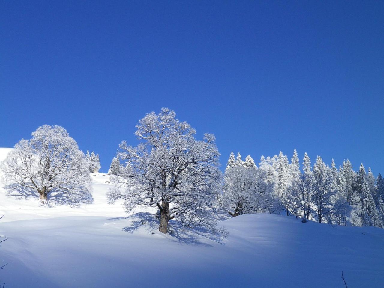 Alpenlodge Willigen エクステリア 写真