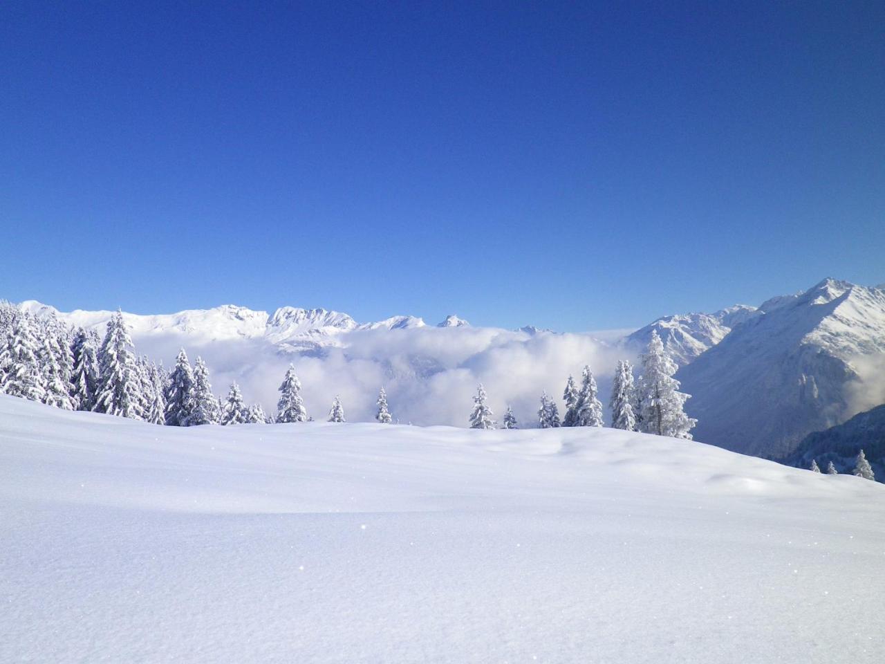 Alpenlodge Willigen エクステリア 写真