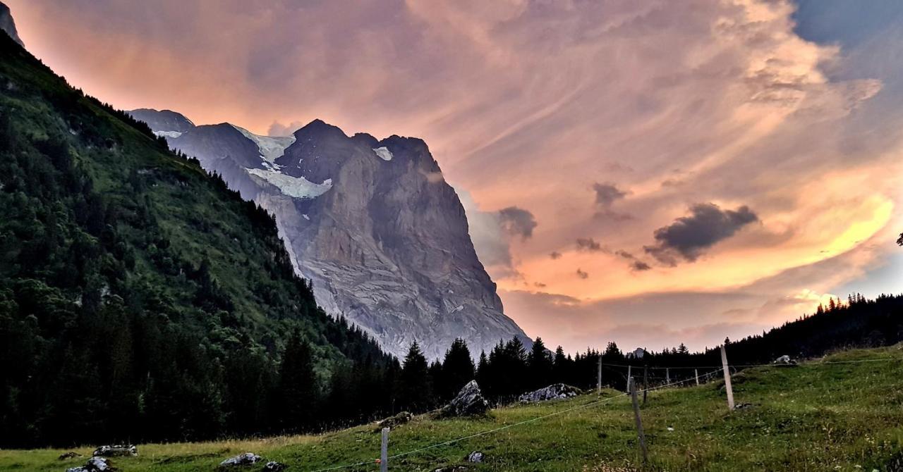 Alpenlodge Willigen エクステリア 写真
