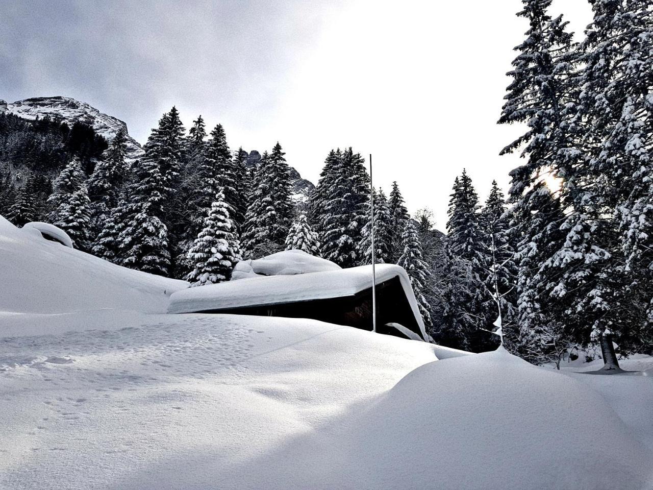 Alpenlodge Willigen エクステリア 写真