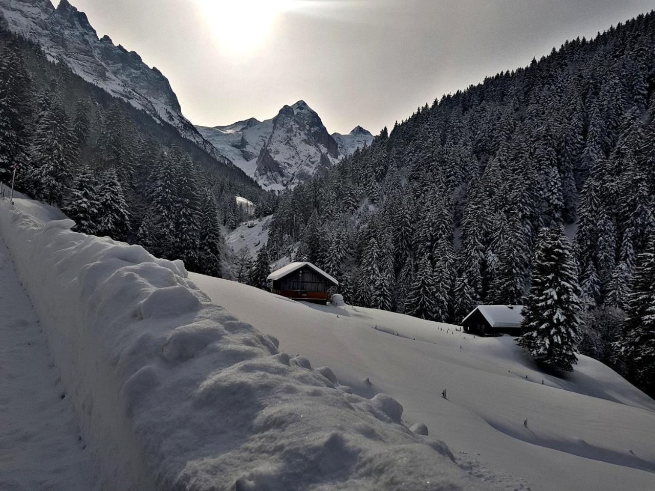 Alpenlodge Willigen エクステリア 写真