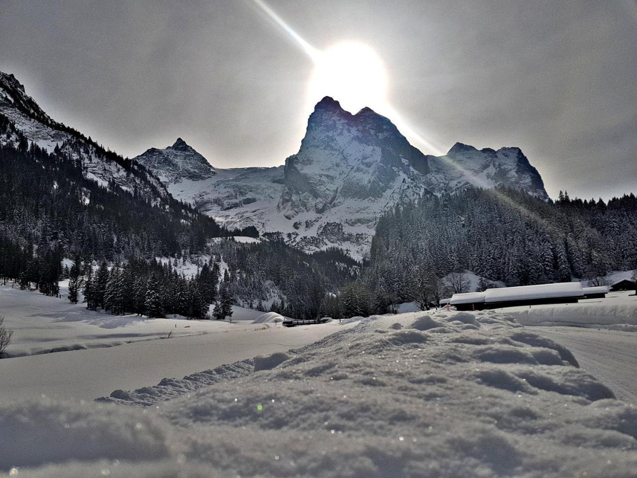 Alpenlodge Willigen エクステリア 写真