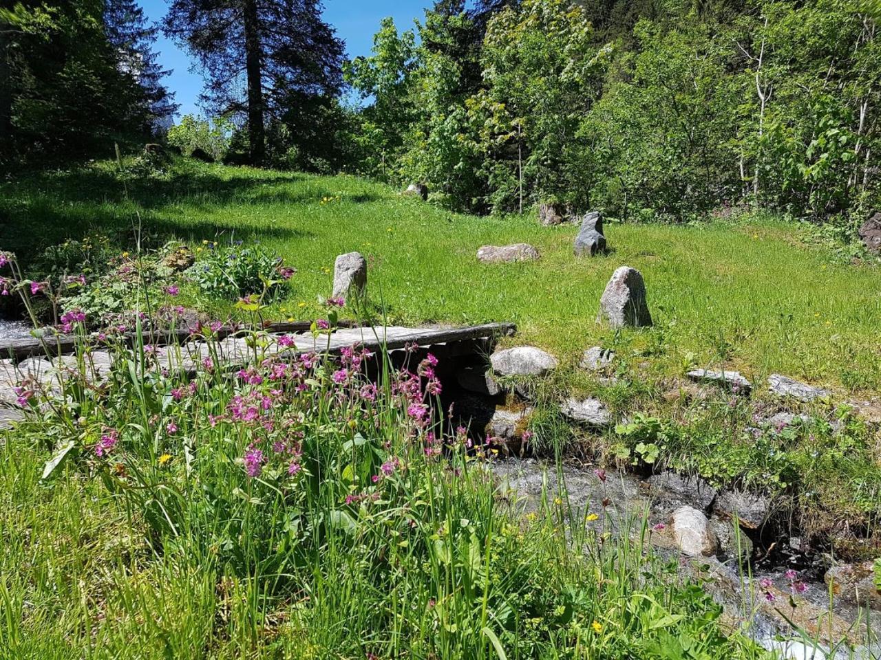 Alpenlodge Willigen エクステリア 写真