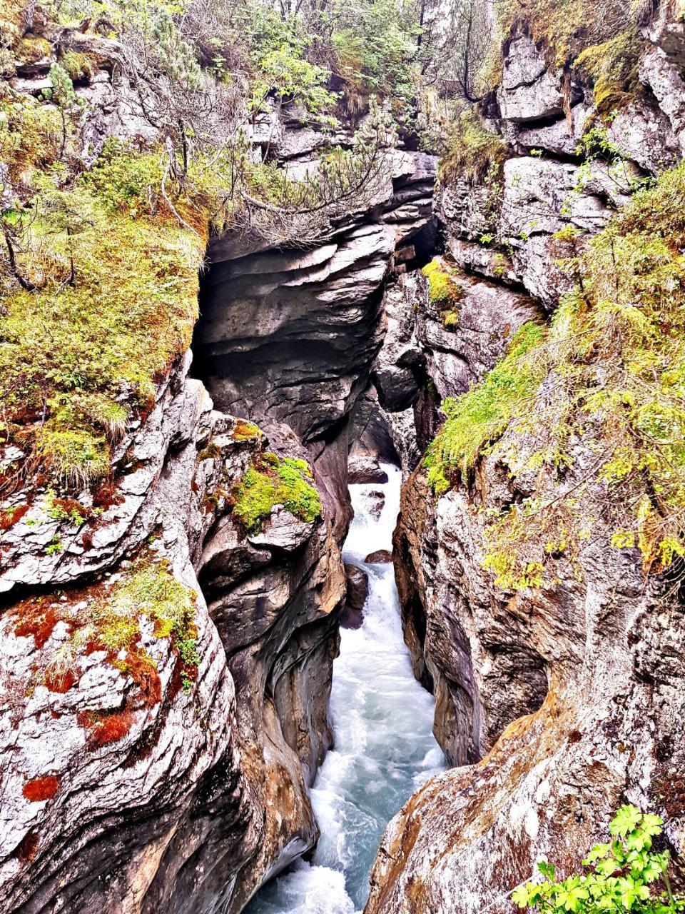 Alpenlodge Willigen エクステリア 写真