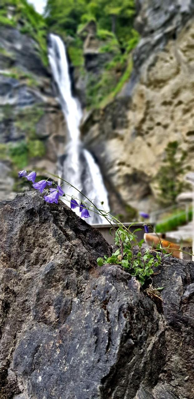 Alpenlodge Willigen エクステリア 写真