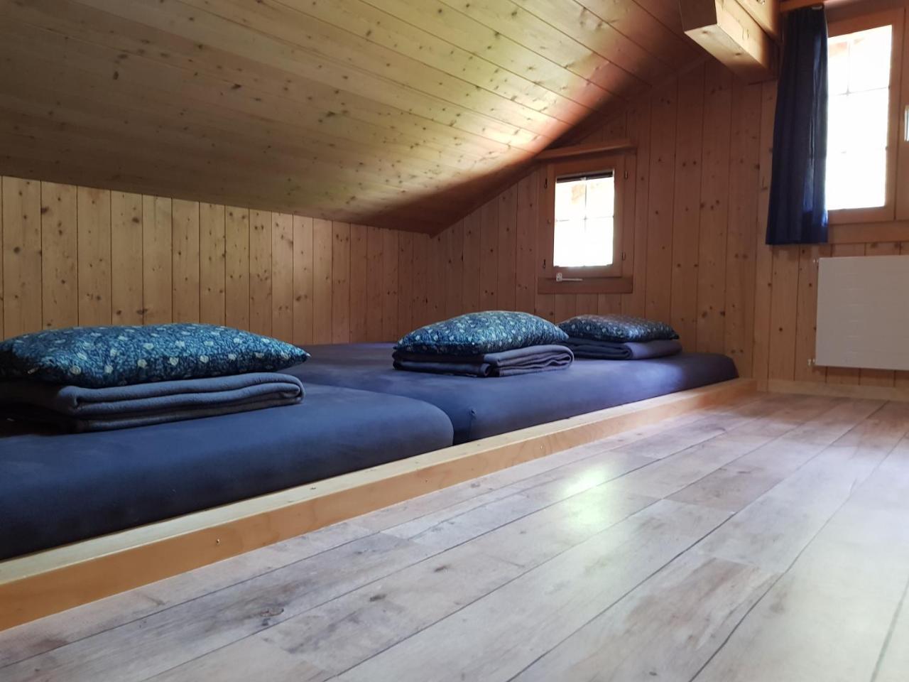Alpenlodge Willigen エクステリア 写真