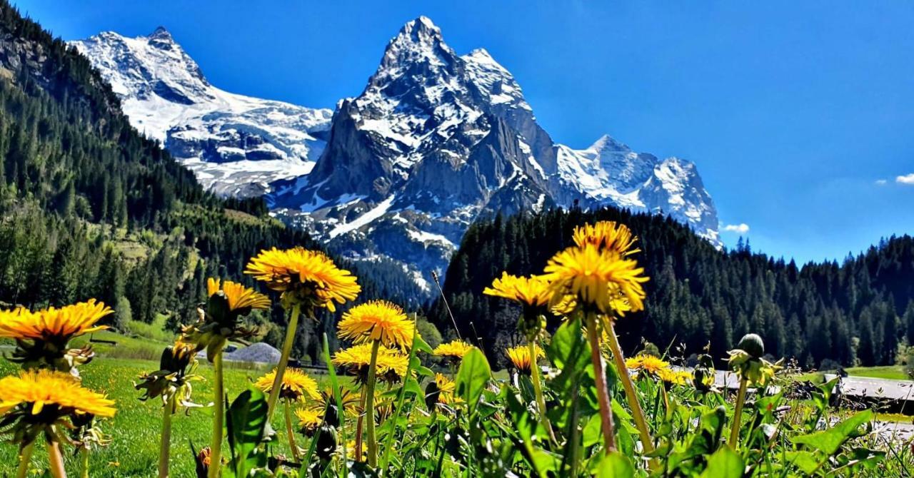 Alpenlodge Willigen エクステリア 写真