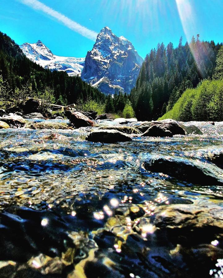 Alpenlodge Willigen エクステリア 写真